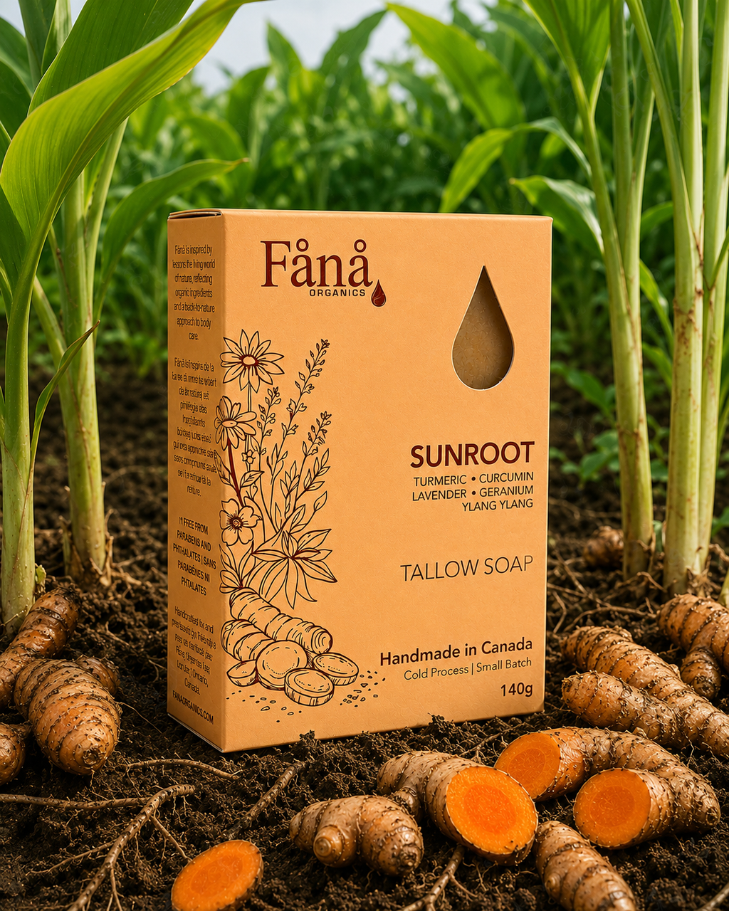 Sunroot